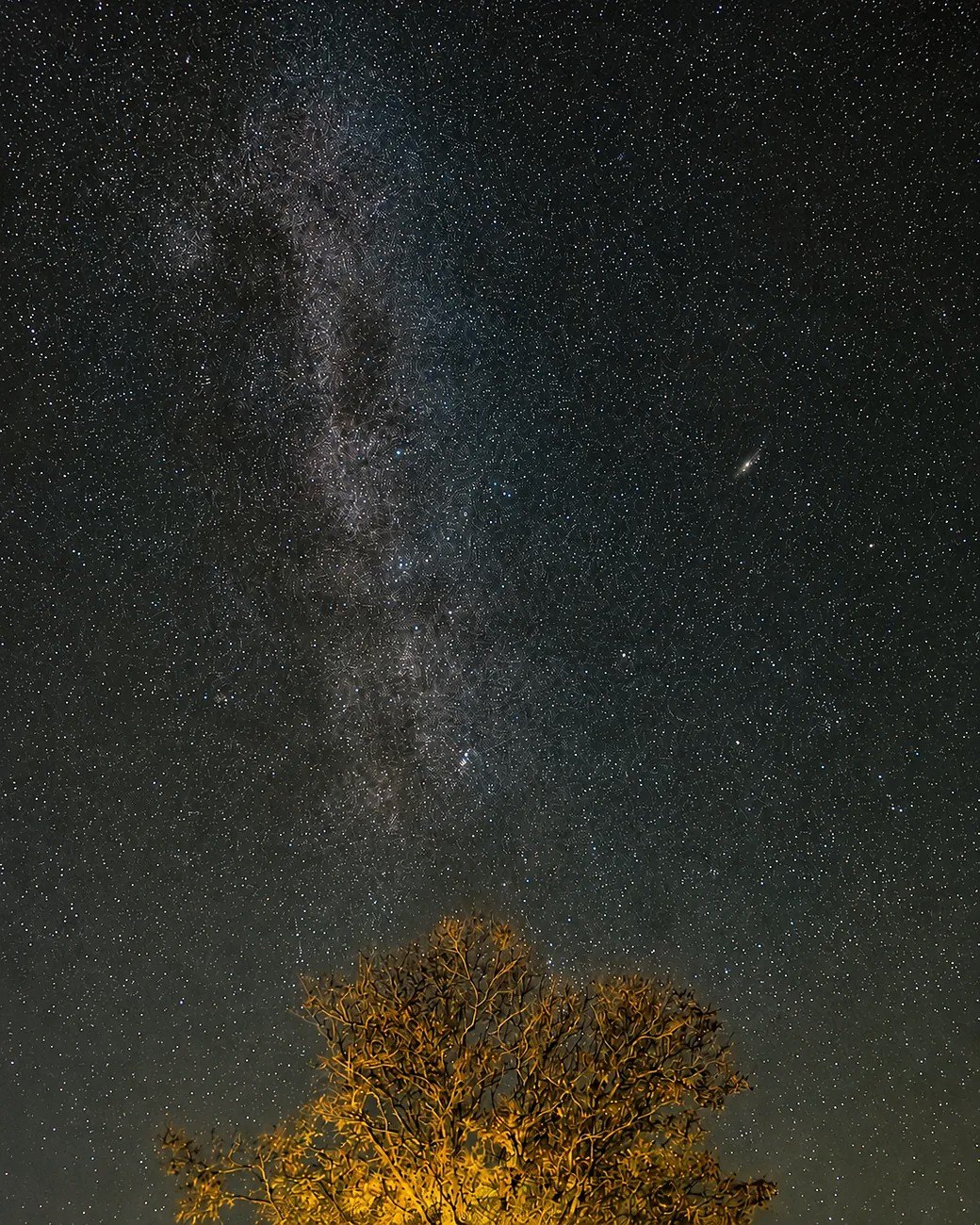 Nebulosa de cielo profundo fotografiada durante integraciones largas