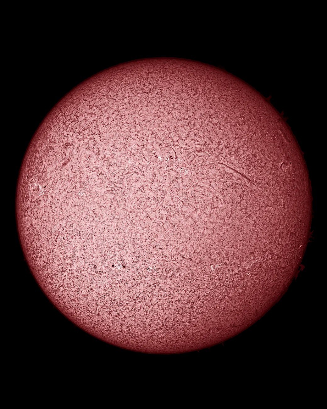 Imagen de disco completo del Sol en H-alfa con detalle superficial y protuberancias