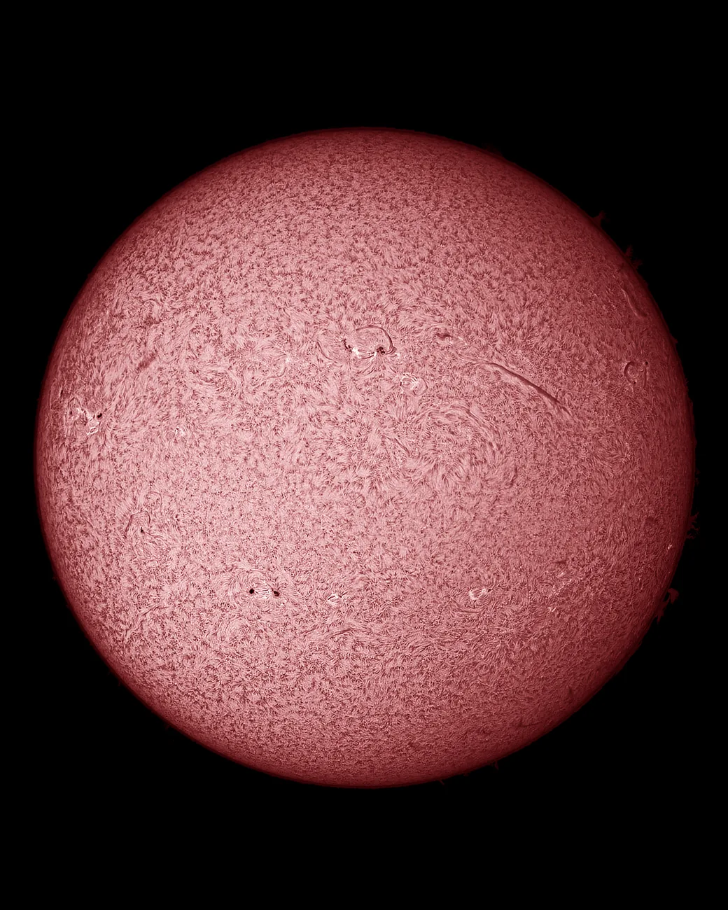 Full-disc H-alpha image of the Sun showing filaments and chromospheric detail