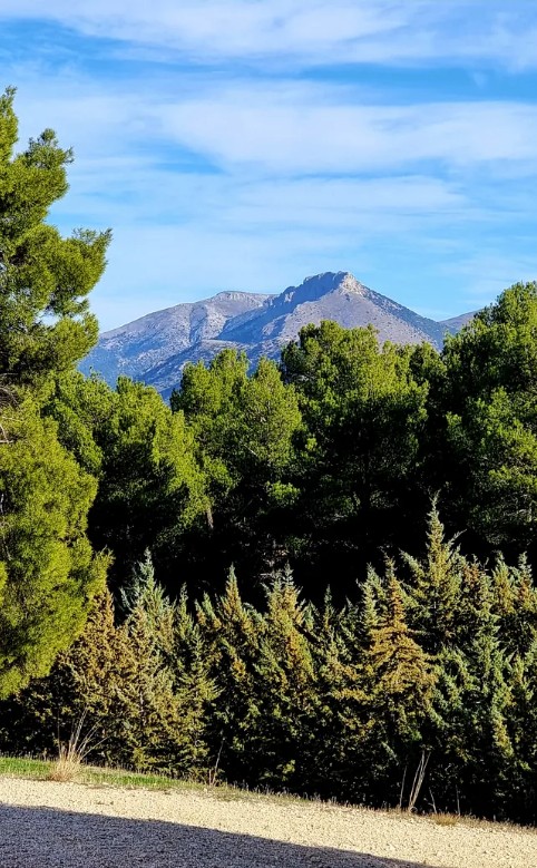 Mountain peak rising above pine forest in rural Granada near Leonard's Lookout