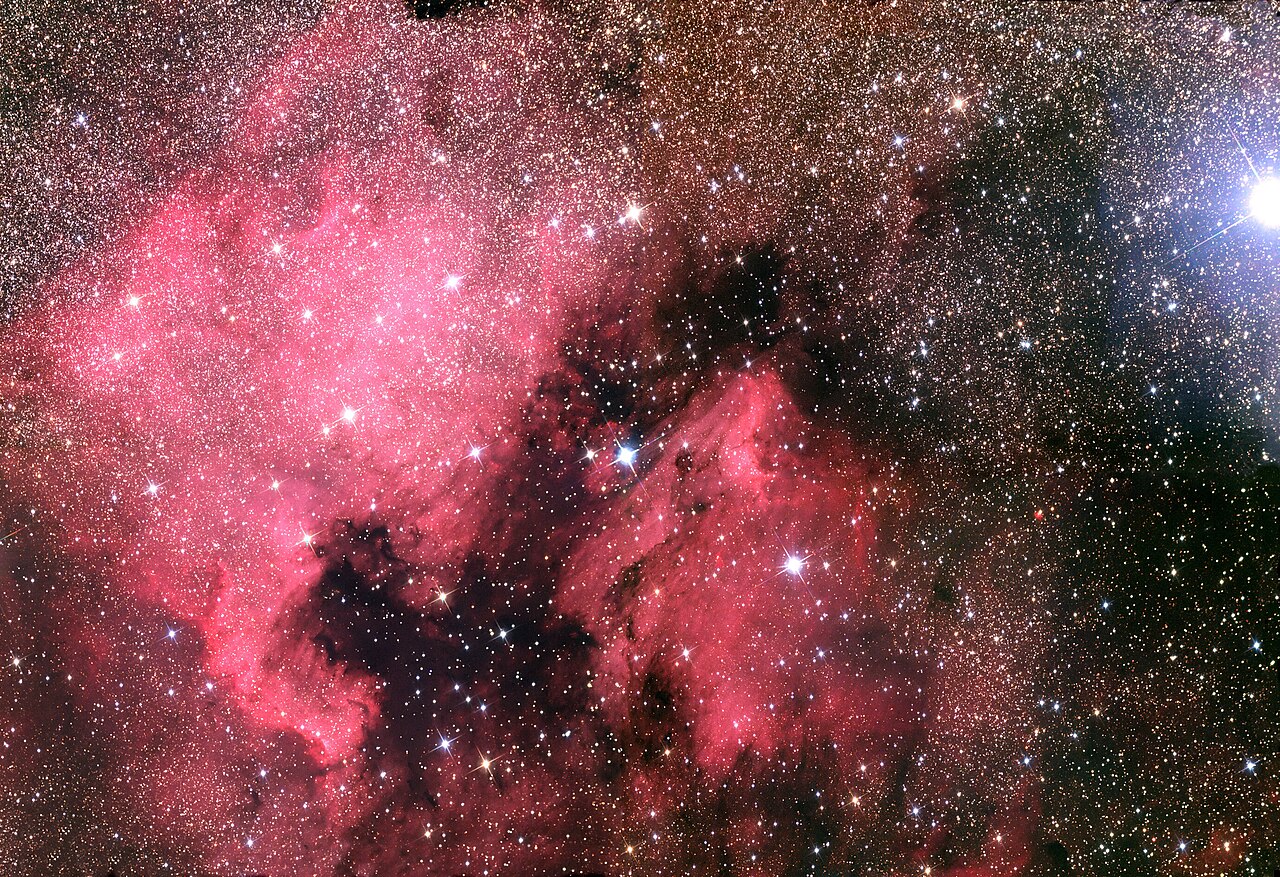 North America Nebula NGC 7000 and Pelican Nebula in Cygnus